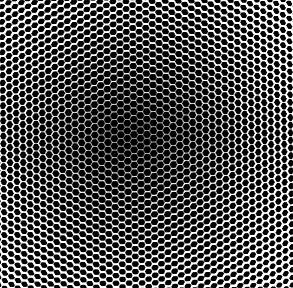 LEHR�̃����g�Q���ʐ^