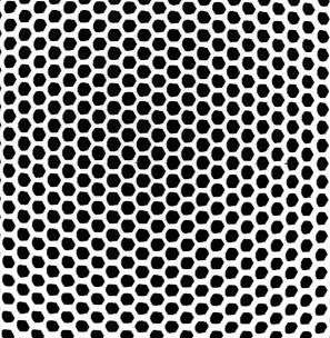 MEGP�̃����g�Q���ʐ^