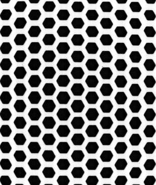 HMEGP�̃����g�Q���ʐ^