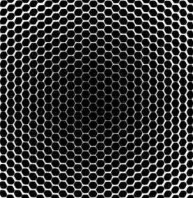 LEHR�̃����g�Q���ʐ^