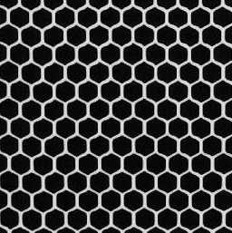 LEGP�̃����g�Q���ʐ^